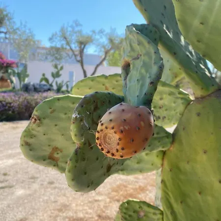 Gli Arcangeli